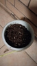 德沃多肥料向日葵種子DIY兒童趣味種植盆栽套裝小學(xué)植物觀察幼兒園六一 曬單實拍圖