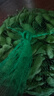 鮮毛豆500g 曬單實(shí)拍圖