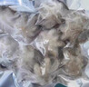 八爪魚 鮮活冷凍去牙去內(nèi)臟小八爪魚長腿國產(chǎn)章魚海鮮水產(chǎn) 三去八爪魚3斤裝 曬單實拍圖