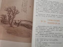 唐詩(shī)三百首 人教版名著閱讀課程化叢書(shū) 初中語(yǔ)文教科書(shū)配套書(shū)目 九年級(jí)上冊(cè) 曬單實(shí)拍圖