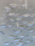 創(chuàng)星魚缸過濾器過濾桶循環(huán)水泵系統(tǒng)全套龜缸三合一周轉過濾箱靜音殺菌 【UV殺菌】80-150CM缸（大流量選擇）CFS 【搭配前置過濾桶】套裝 曬單實拍圖