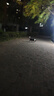 貝意品狗狗發(fā)光項(xiàng)圈夜間遛狗夜光夜行燈大小型犬防走失帶燈充電寵物脖圈 曬單實(shí)拍圖