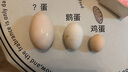 潮汕特大鵝蛋250-320克農家孕婦新鮮正宗散養獅頭鵝雙黃鵝蛋包郵 8顆裝（單粒250-320克之間） 曬單實(shí)拍圖
