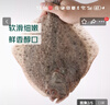 鮮活多寶魚450-550g/條 曬單實拍圖