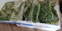 聽(tīng)蔬 有機(jī)綠葉沙拉菜5袋組合 料理混合食材 有機(jī)認(rèn)證蔬菜健康輕食健身 混合幼葉菜料理食材（5袋*50g） 沙拉食材 曬單實(shí)拍圖