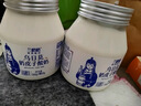 蘭格格  草原酸奶 烏日莫奶皮子酸奶560g*1桶 生鮮低溫酸牛奶 酸奶大桶 曬單實拍圖