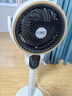 揚子電風(fēng)扇臺地兩用空氣循環(huán)扇智能語(yǔ)音遙控臺式風(fēng)扇家用臥室客廳直流落地扇大風(fēng)力桌面扇底噪音搖頭扇 白色遙控款【臺地兩用+三檔+遙控定時(shí)+八字搖頭】 曬單實(shí)拍圖