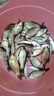 野營(yíng)者29升帶輪防刮釣箱全套新款多功能釣魚(yú)箱魚(yú)桶垂釣保溫臺(tái)釣箱 29L 無(wú)輪單炮臺(tái)【雙軌道標(biāo)準(zhǔn)款+方盒+支架】 曬單實(shí)拍圖