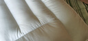 半弦月枕頭護頸枕睡眠頸椎枕深度睡覺專用成人高枕芯一對宿舍家用枕A類 【全棉分區(qū)】 A類 一對 果凍中枕 高克重纖維-云感護頸 曬單實拍圖