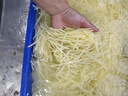 欽樽切菜機(jī)商用切菜機(jī)數(shù)控雙頭切菜機(jī)雙調(diào)頻切菜機(jī)食堂切菜機(jī)學(xué)校用酒店廚房不銹鋼蔬菜刨片機(jī) 830型工程款【帶急停開關(guān)加寬履帶食堂專用機(jī)】 曬單實(shí)拍圖
