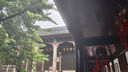 立白天然茶籽洗衣液12斤 除菌除螨抑菌 手洗機(jī)洗祛味去漬含補(bǔ)充裝 曬單實(shí)拍圖