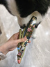 柒哦狗狗牽引繩防爆沖p繩狗鏈遛狗繩子中大型犬柴犬柯基防掙脫拴狗繩 卡其色【防勒手 防纏繞 防爆沖】 總長1.5米 適用于大中小全犬種 曬單實拍圖