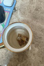 同仁堂三伏天姜棗茶阿膠紅糖姜棗茶大姨媽黑糖補氣血茶送禮禮盒180g 曬單實拍圖
