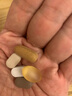 GNC健安喜男士40+每日營(yíng)養(yǎng)包3盒裝90包 復(fù)合維生素礦物質(zhì)魚(yú)油奶薊 曬單實(shí)拍圖