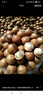 三只松鼠量販箱裝每日?qǐng)?jiān)果1050g/35包 堅(jiān)果禮盒零食禮包腰果 團(tuán)購送禮 曬單實(shí)拍圖