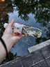 神鯊湖庫王4.5米魚竿超輕超硬碳素釣魚竿手竿臺釣竿鯉魚桿鯽魚竿漁具 曬單實(shí)拍圖