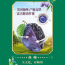 溜溜梅青梅全家桶600g西梅雪梅脆青梅話梅楊梅蜜餞果干健康休閑零食禮包 曬單實(shí)拍圖
