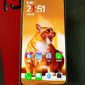 一加 13 16GB+512GB 黑曜秘境 國家補(bǔ)貼 高通驍龍?8至尊版 6000mAh 冰川電池 oppo智能AI游戲5G手機(jī) 曬單實(shí)拍圖