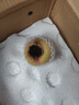正宗春雪水蜜桃桃子新鮮水果當(dāng)季現(xiàn)摘脆甜多汁桃子生鮮整箱 精選4.5斤超值裝 單果140g+凈4斤 曬單實拍圖