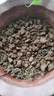 波斯菊花種子格?；ǚN籽子七彩四季開花易活花籽庭院野花組合種子 混色重瓣太陽花約500粒/包 曬單實拍圖