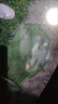 四季餌直接掛鉤免拌釣魚(yú)餌腥香鯽魚(yú)鯉魚(yú)草魚(yú)黑坑野釣通殺釣魚(yú)餌料 四季餌300g*1瓶 曬單實(shí)拍圖