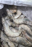 東上御品蝦 青島大蝦基圍蝦鮮活青蝦白蝦海蝦對蝦冰蝦凍蝦生鮮 蝦類 海鮮 3斤(凈重)  氣凍大蝦【活蝦速凍】 15-18cm【單只超大蝦】 曬單實拍圖