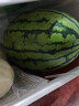吊秧小西瓜 約1.5kg 曬單實(shí)拍圖