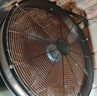 電風(fēng)扇商用工業(yè)風(fēng)扇趴地扇強風(fēng)工業(yè)趴地扇圓筒風(fēng)機桶扇大型強力風(fēng)扇雙滾珠軸承工廠(chǎng)倉庫工地養殖場(chǎng) 超強風(fēng)20寸6葉8檔【雙滾珠銅線(xiàn)電機*寬厚鋁葉】 曬單實(shí)拍圖