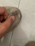 回力官方椰子鞋男鞋2025新款夏季透氣網(wǎng)面運(yùn)動(dòng)跑步鞋子男 米灰綠 42 曬單實(shí)拍圖