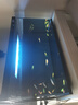 蝶翼斑馬魚長尾長鰭觀賞魚冷水小型淡水金魚活體好養(yǎng)淡水觀賞魚 小號(hào)隨機(jī)1.5-2cm10+2條備損發(fā)12 曬單實(shí)拍圖