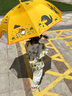 彌鹿（MiDeer）兒童雨傘聯(lián)名X宮西達也恐龍小學生幼兒園寶寶雨衣雨披長柄傘禮物 雨傘-宮西達也聯(lián)名款 曬單實拍圖