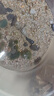 YEE綠藻球水族箱魚(yú)缸造景水草水藻球蝦缸海藻球草缸水草觀(guān)賞球好養 小號2-2.5cm左右(泡水后) 曬單實(shí)拍圖