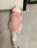 馭瑛貓咪衣服防掉毛夏季貓咪狗狗衣服寵物衣服幼貓中小型犬春秋衣服 粉色熊熊頭(M碼建議4-6斤) 曬單實(shí)拍圖