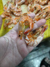 烤蝦干即食九節蝦干蝦淡干對蝦干海鮮干貨孕婦寶寶補鈣零食 炭烤九節蝦干約80只 100g(凈重) 曬單實(shí)拍圖
