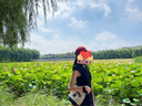 范思藍恩藏青色少女蓋袖連衣裙短裙女2025夏季收腰綁帶蝴蝶結2226 深藏青 XS 曬單實(shí)拍圖
