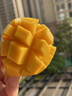 憶京源海南小臺農(nóng)芒果 當(dāng)季熱帶新鮮水果 現(xiàn)摘純甜核薄黃皮甜心芒臺芒 5斤精選大果 曬單實拍圖