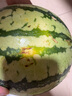 【產(chǎn)地直采】麒麟奶油西瓜1粒4kg 曬單實拍圖
