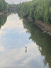 奢蔻（Cercoo）七夕情人節(jié)禮物發(fā)夾水鉆珍珠夾子頭飾一字夾橫夾彈簧夾送老婆禮物 曬單實(shí)拍圖