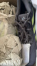 adidas領(lǐng)航系列SUPERNOVA EASE超輕緩震回彈耐磨慢跑鞋男阿迪達(dá)斯   深灰/脈沖酸橙綠   44 曬單實拍圖