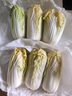 【超市品質(zhì)】新鮮精品娃娃菜現(xiàn)砍現(xiàn)發(fā)小包裝新鮮蔬菜生鮮產(chǎn)地直發(fā) 新鮮娃娃菜1*(3棵)*1包 曬單實(shí)拍圖