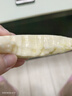 廣西軟心白心奶油芭樂 老果樹 軟糯香甜番石榴果園現(xiàn)摘 送酸梅粉 【奶油白心】5斤單果150g+ 曬單實(shí)拍圖