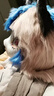 拉迪圖原創(chuàng)獸裝福瑞獸頭日系Fursuit單頭成品頭套漫展cosplay服裝可穿戴 黑白 曬單實(shí)拍圖