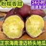 正宗海南澄邁橋頭地瓜富硒地瓜紅薯新鮮沙地板栗蜜薯糖心產(chǎn)地直發(fā) 9斤【約30~90根】源頭直采包郵 曬單實拍圖