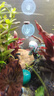 羨魚(yú)拋棄式二氧化碳鋼瓶恒壓閥水草缸一次性CO2氣瓶魚(yú)缸迷你減壓閥 選配：纖巧 短款 S 細化器S 曬單實(shí)拍圖