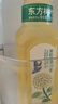 農(nóng)夫山泉 東方樹葉茉莉花茶335ml*24瓶 無糖茶飲料 整箱裝 曬單實拍圖