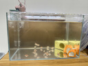 YEE超白魚缸桌面客廳生態(tài)斗金魚烏龜缸造景小型水草養(yǎng)魚玻璃裸缸40cm 曬單實拍圖