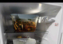欣美雅（xinmeiya）帶蓋玻璃保鮮盒冰箱專用大容量食物收納盒泡菜罐子透明大號密封盒 湖藍(lán)超大款【兩只】2600ml 曬單實拍圖