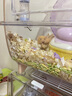 CARNO PET PRODUCTS卡諾倉鼠花草浴沙尿砂除臭祛味金絲熊洗澡浴室用品 1.5kg 曬單實拍圖