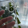 開(kāi)美智（KMaxAI）【京配包郵】適用蘋(píng)果16手機(jī)殼iphone16保護(hù)套 輕薄全包鏡頭防摔晶透TPU軟殼 透明 曬單實(shí)拍圖