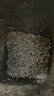 施洲茗爵2025藤茶恩施野特生級(jí)非富硒非張家界來鳳龍須嫩芽尖騰滕霉莓新茶 精品碎茶芽尖250g(1袋,免費(fèi)試喝) 曬單實(shí)拍圖